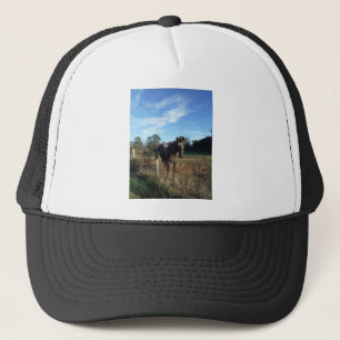 Coco- en crèmebruin paard trucker pet