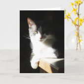 "Coco in het licht I."  Wenskaart Kaart (Gele Bloem)