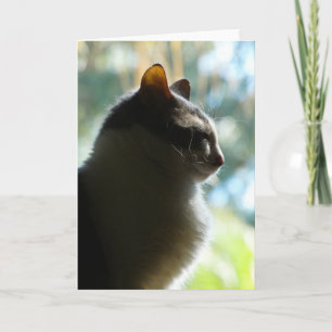 Coco in het raam. Wenskaart Kaart