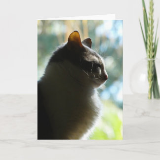 Coco in het raam.  Wenskaart Kaart