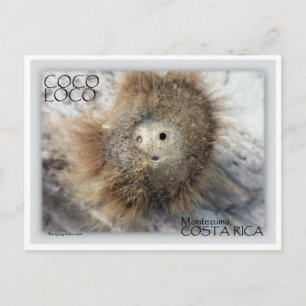 COCO LOCO NUT BRIEFKAART