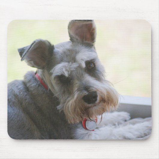 Coco, mini Schnauzer mousepad Muismat (Voorkant)