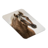 Coco Mustang filly magneet (Rechterzijde)