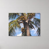 COCO PALM CANVAS AFDRUK (Voorkant)