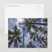 COCO PALMS #2 Briefkaart (Voorkant / Achterkant)