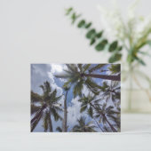 COCO PALMS #2 Carte postale (Debout devant)