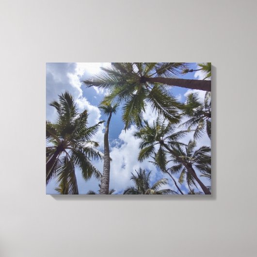 COCO PALMS #2 OP CANVAS 20 "x 16" Afdruk (Voorkant)