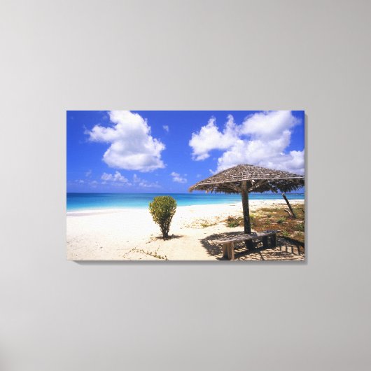 Coco Point Beach, Barbuda, Antigua Canvas Afdruk (Voorkant)