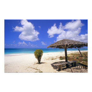 Coco Point Beach, Barbuda, Antigua Foto Afdruk