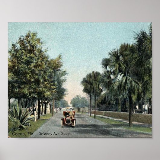 Cocoa FL, Florida, Delaroy Ave, c1910  Poster (Voorkant)