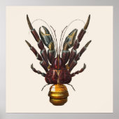 Coconut Crab Poster (Voorkant)