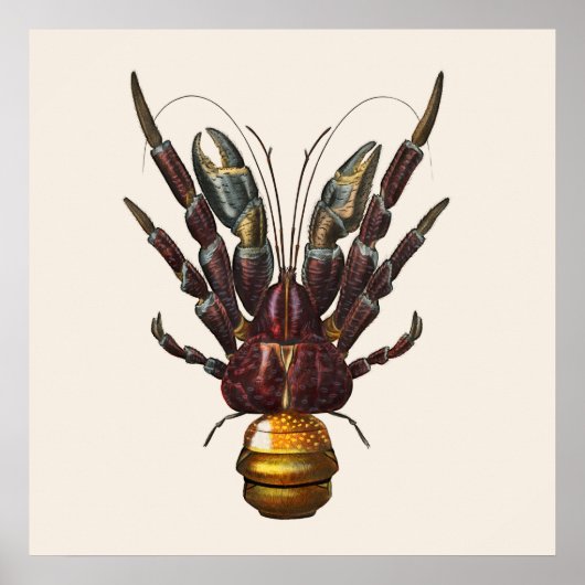 Coconut Crab Poster (Voorkant)