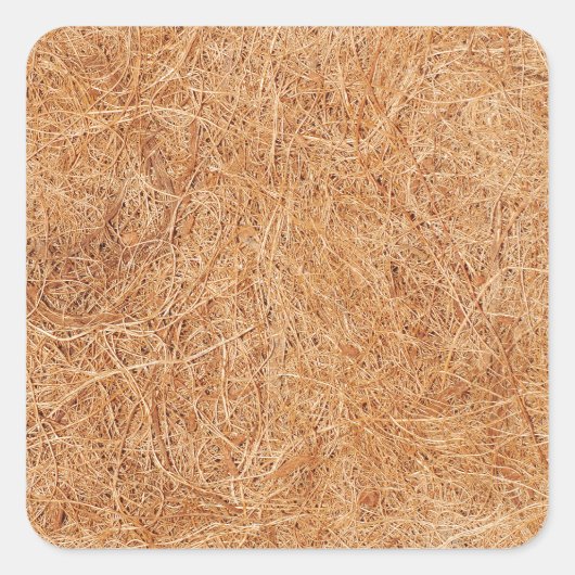 Coconut textuur vierkante sticker (Voorkant)