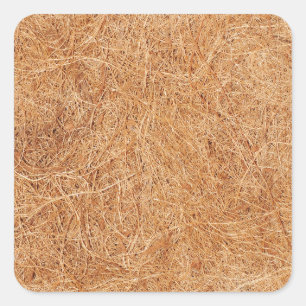 Coconut textuur vierkante sticker