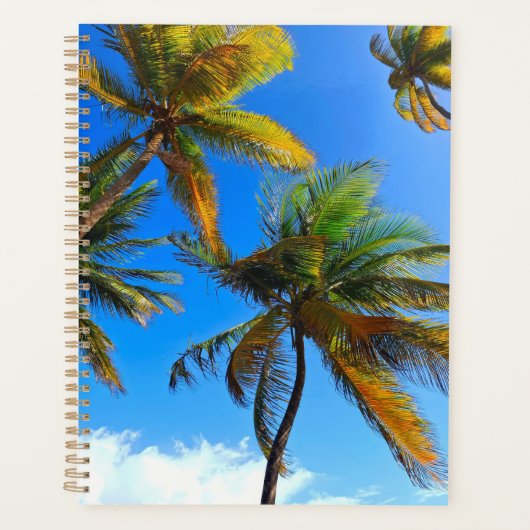 Coconut Tree Planner - Plan in het paradijs (Voorkant)