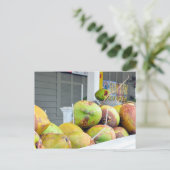 Coconut Water Key West FL Coconuts Briefkaart (Staand voorkant)