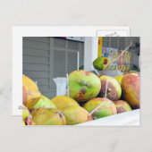 Coconut Water Key West FL Coconuts Briefkaart (Voorkant / Achterkant)