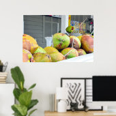 Coconut Water Key West FL Coconuts Poster (Bureau à domicile)