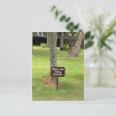 Coconuts Hawaii-waarschuwingsbord Briefkaart (Staand voorkant)