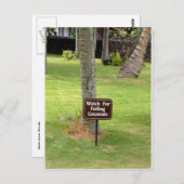 Coconuts Hawaii-waarschuwingsbord Briefkaart (Voorkant / Achterkant)