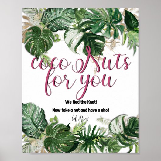 CocoNuts pour vous - affiche (Devant)