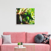 Coconuts ~ Toile Art ~ Trinidad (Insitu(Salon))