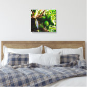 Coconuts ~ Toile Art ~ Trinidad (Insitu(Chambre))