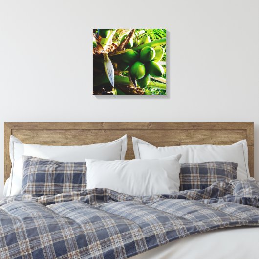 Coconuts ~ Toile Art ~ Trinidad (Insitu(Chambre))