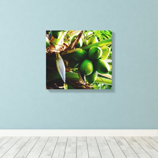 Coconuts ~ Toile Art ~ Trinidad (Insitu (Plancher de Bois))