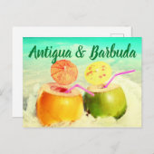 Coconuts van Antigua en Barbuda Briefkaart (Voorkant / Achterkant)