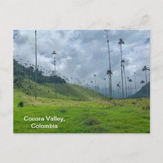 Cocora Valley, Colombia Briefkaart