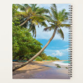 Cocout Palm, plage de Mirissa | Sri Lanka (Dos)