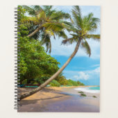 Cocout Palm, plage de Mirissa | Sri Lanka (Devant)