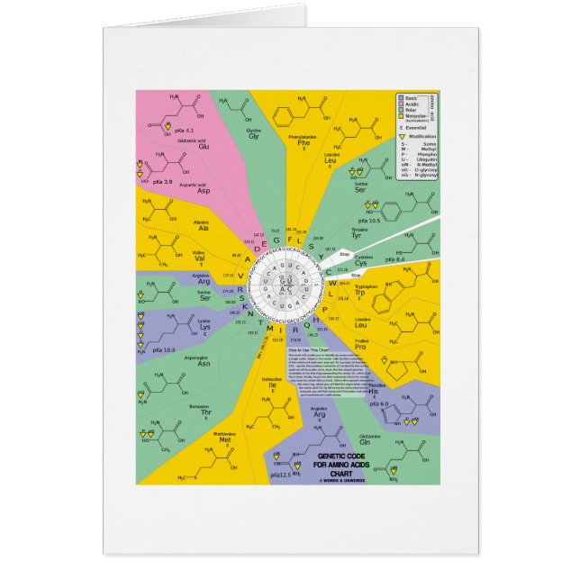Code génétique pour des acides aminés (roue de (Devant)