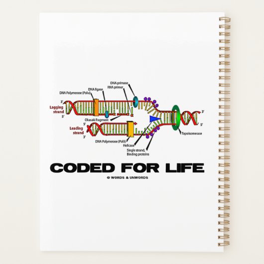 Codé Pour La Réplication De L'ADN À Vie (Dos)