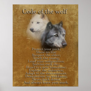 Code van de Wolf Poster