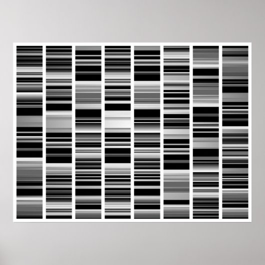 Codex Poster (Voorkant)