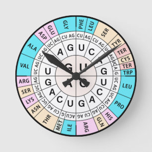 Codon Chart Genetic Code Ronde Klok