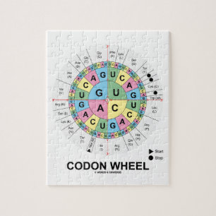 Codon Wheel (RNA-cocons-aminozuren) Legpuzzel