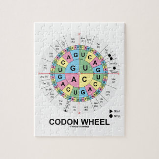 Codon Wheel (RNA-cocons-aminozuren) Legpuzzel