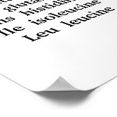 Codons Poster (Hoek)