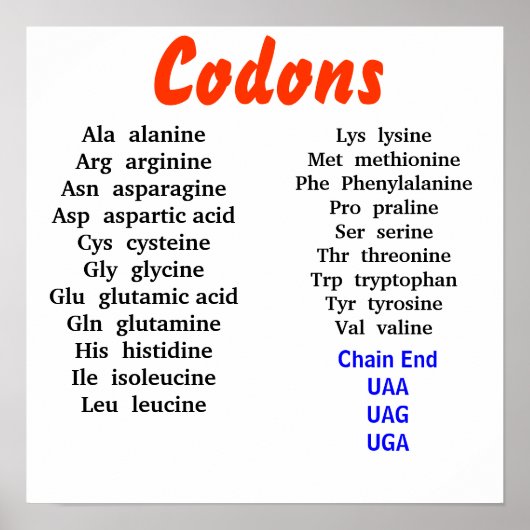 Codons Poster (Voorkant)