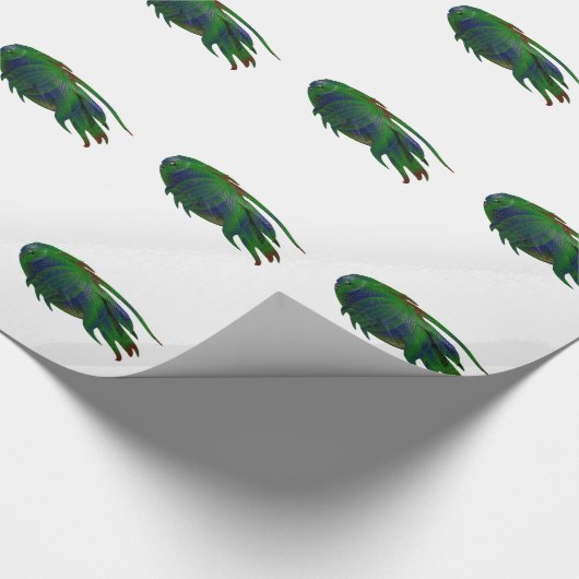 Coelacanth Fossil replica Cadeaupapier (Hoek)