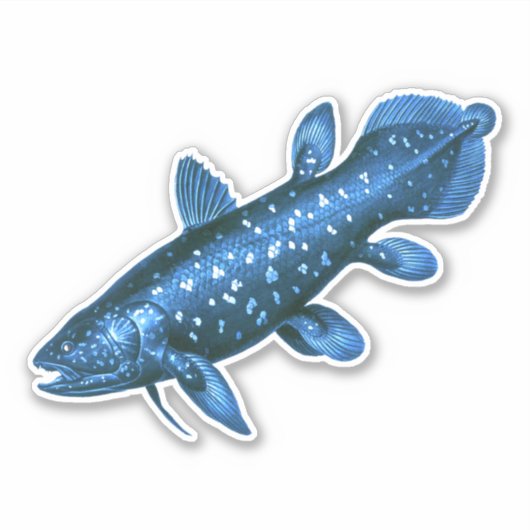 Coelacanth Sticker (Voorkant)