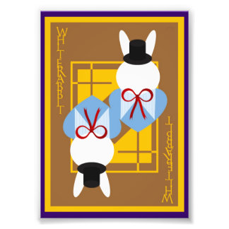 Coelho Branco Foto Afdruk