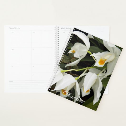 Coelogyne Mooreana Orchidée fleurit Floral (Devant avec enveloppe)