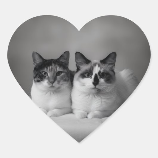 Cœur Custom Pet Portrait Heart Sticker (Devant)