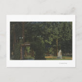 Coeur d'Alene, ID - Uitzicht City Park Briefkaart (Voorkant)