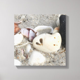 Coeur dans une zone de toile Shell imprimé 12x12 e