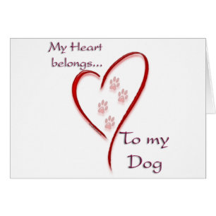 Coeur de chien Appartient